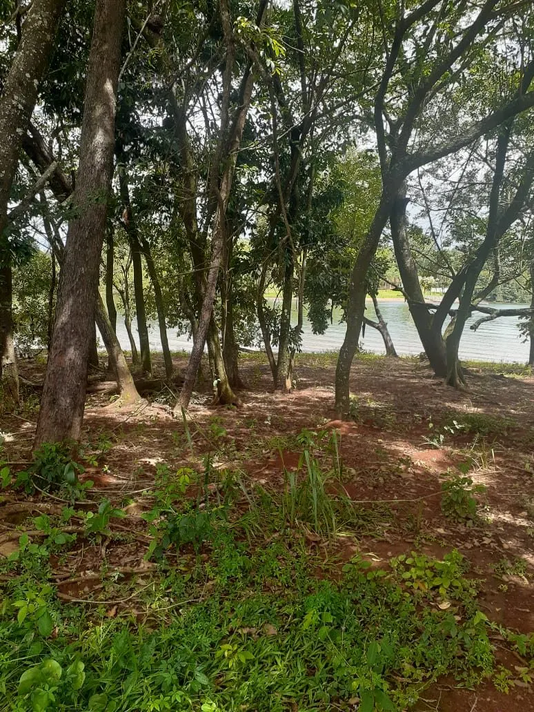 Terreno de Rancho Em Rifaina — foto 6